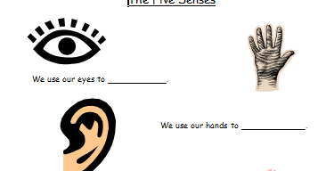 SMELL, TASTE, TOUCH, HEAR AND SEE