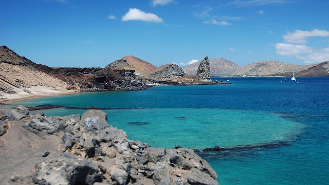 galapagos-2451090_960_720.jpg