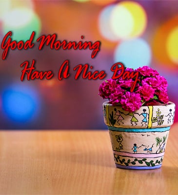 Many Type Of Good Morning Flowers Images Free Download Best Image Website Good Night Image For Whatsapp Download and use 10,000+ good morning stock photos for free. good morning flowers images
