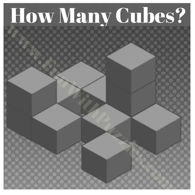 Can you count the Number of Cube you can see in this Puzzle Picture?