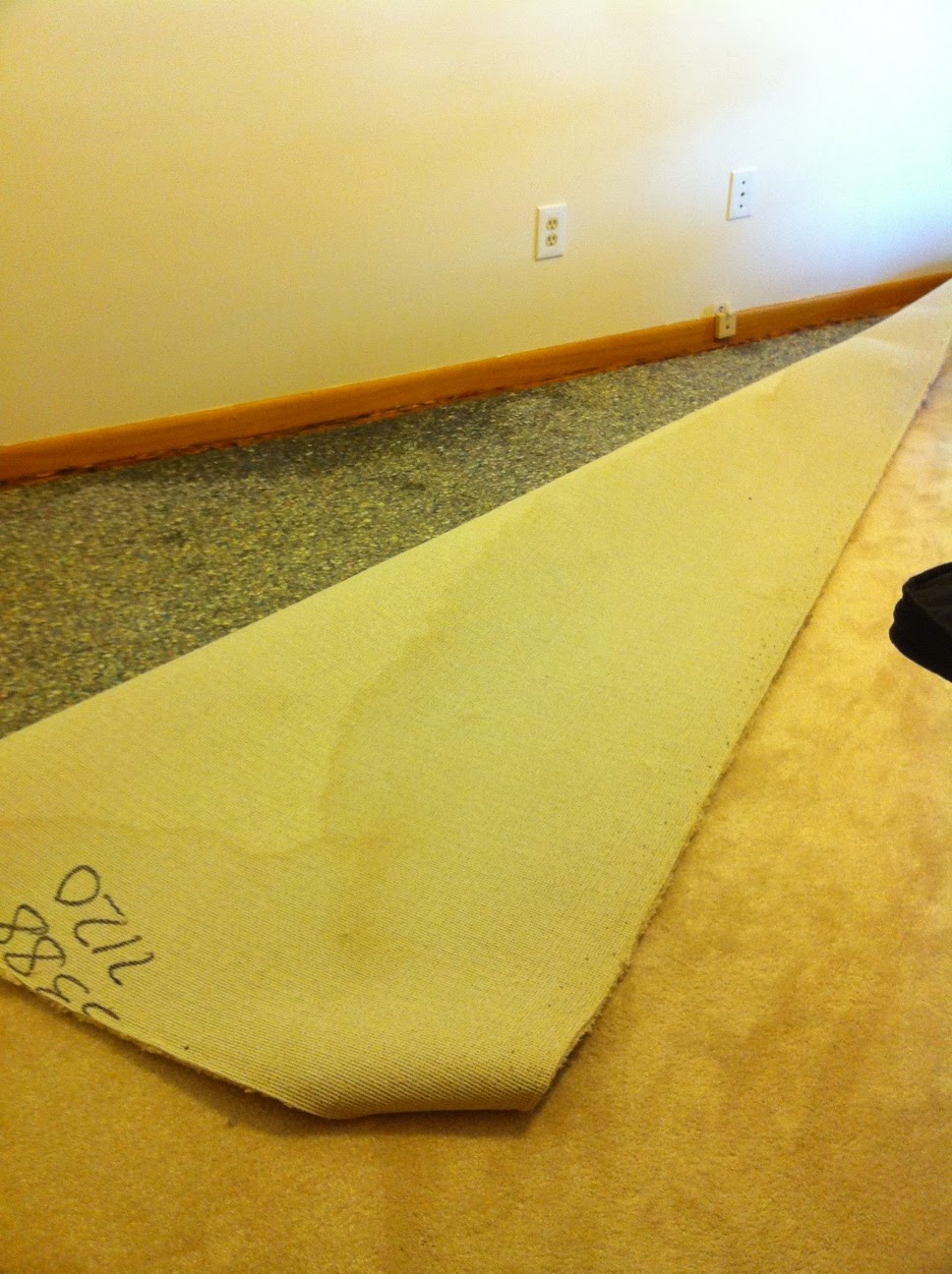 Laureana Leigh Designs