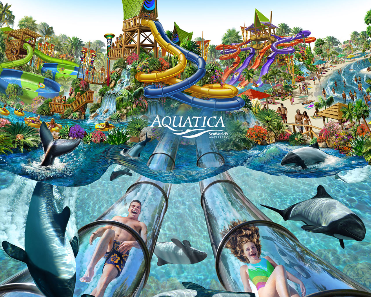 Travel Usher: SeaWorld Orlando Water Theme Park