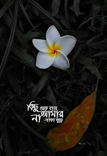 Bangla Emotional Pic