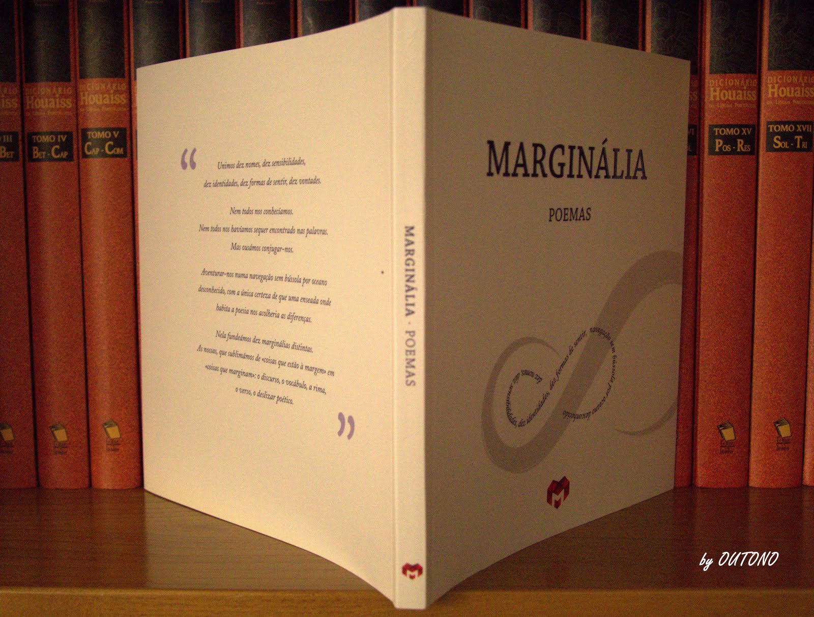 Novo Livro - MARGINÁLIA