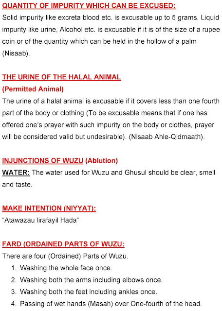 QUANTITY OF IMPURITY Urine of Halal animals