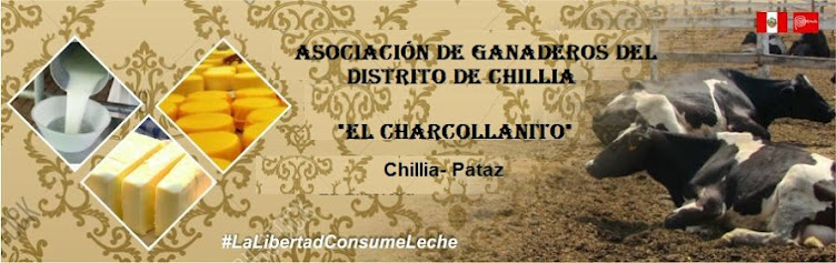 EL CHARCOLLANITO DE CHILLIA