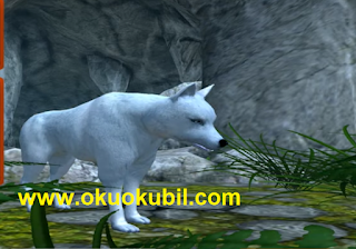 Wolf Simulator v1.0.2.1 KURTLAR Para, Level Hileli Apk İndir 2020