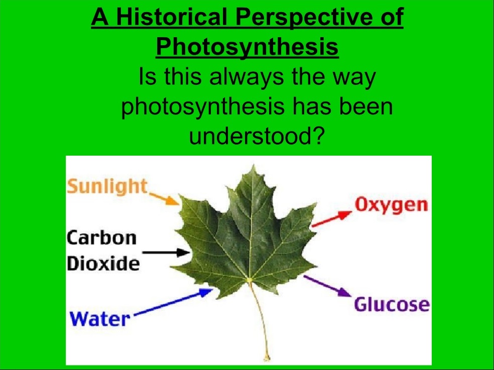 the historical perspective of photosynthesis essay pdf
