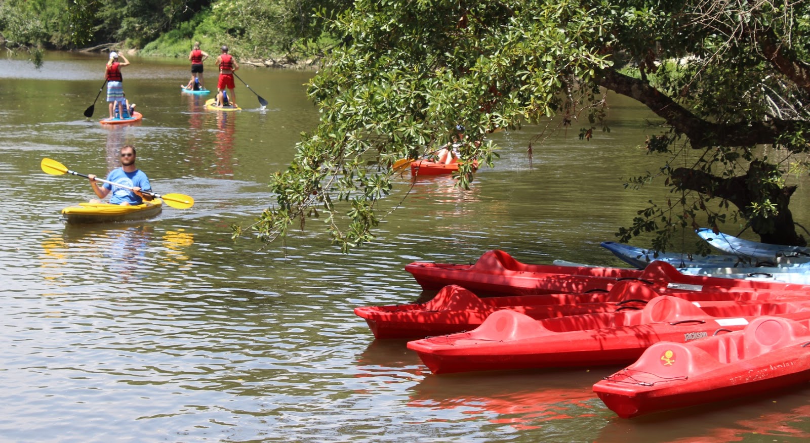 Tammany Family Kayaks Come To Chimes