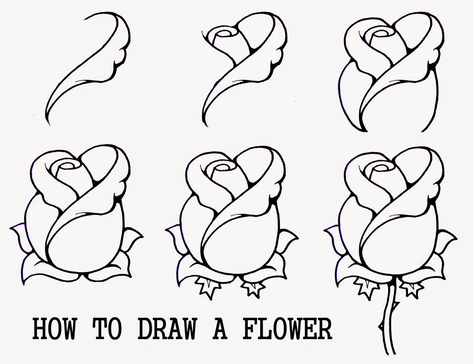 How To Draw A Flower Easy Step By Step Learn To Draw And Paint