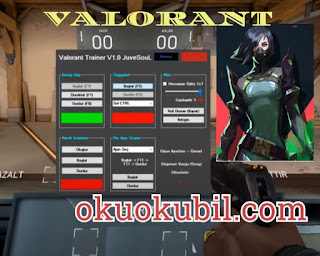 Valorant Trainer v1.0 Triggerbot İndir 2020