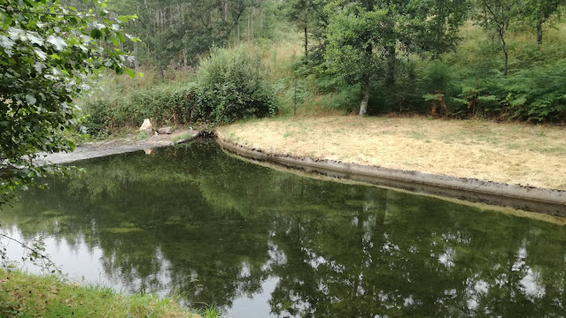 Praia Fluvial de Vila Boa