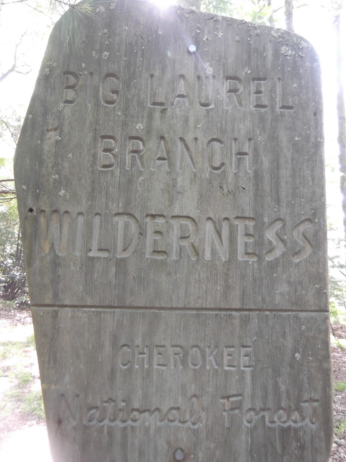 Appalachian Trail Section hiking Wilbur Dam Road to Tennessee 91