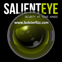 Salient Eye Security Remote for PC