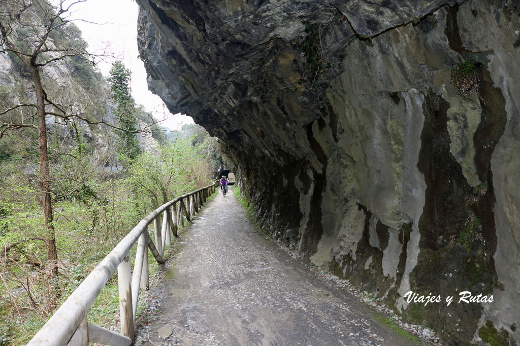 Senda del oso, Asturias