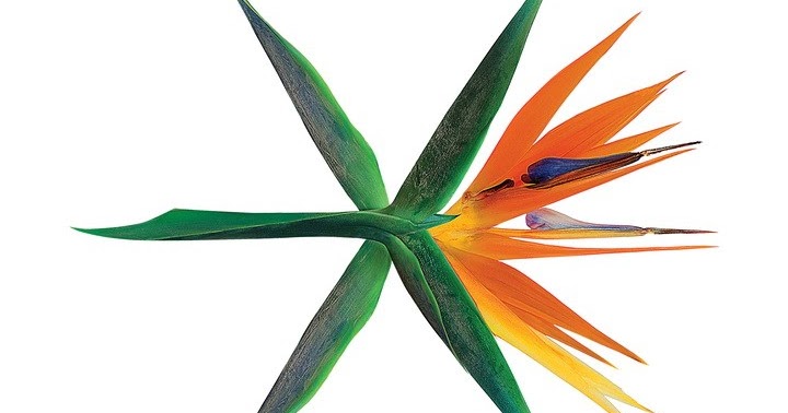 exo ooh la la la lirik lirik lagu exo what u do terjemahan lirik lagu exo ooh la la la lirik lirik lagu exo what u do terjemahan lirik lagu