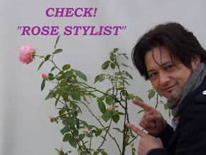 ROSE STYLIST