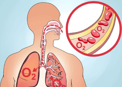 Oxigen ,ओक्सीजन का महत्व Oxigen ,ओक्सीजन का महत्व