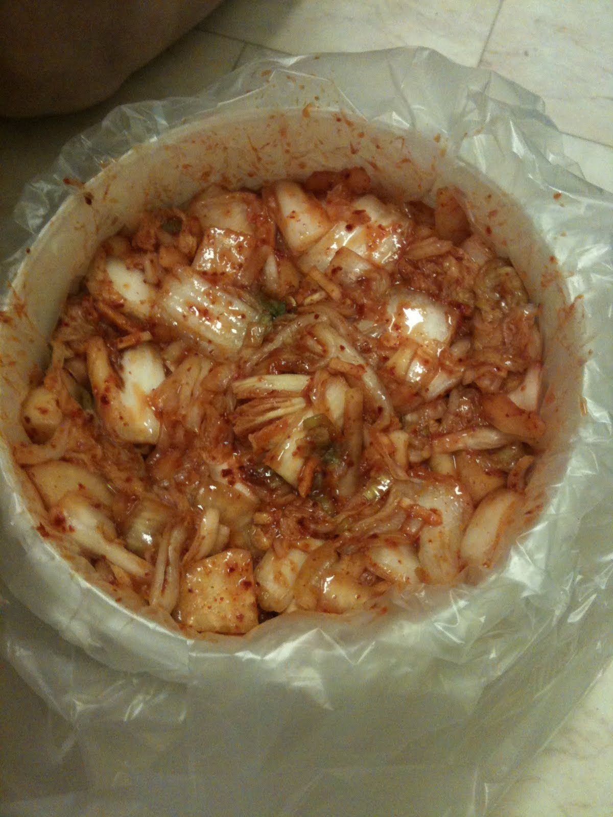 도시락 girl (Dosirak girl) Korean Bento How to Kimchi (family 김치 recipe!)