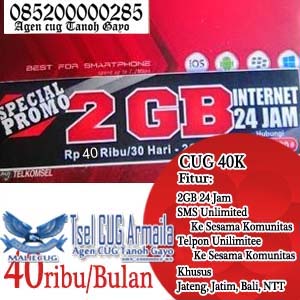 Cara Daftar CUG Telkomsel Data Internet 2GB + Nelpon SMS Unlimited 40 Ribu Perbulan | Akhir Mali