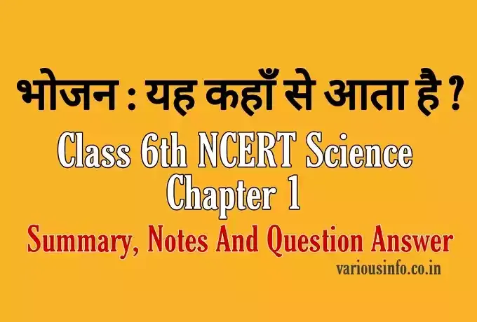 भोजन : यह कहाँ से आता है ? Class 6th NCERT Science Chapter 1 Summary, Notes And Question Answer