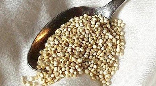 بذور الكينوا