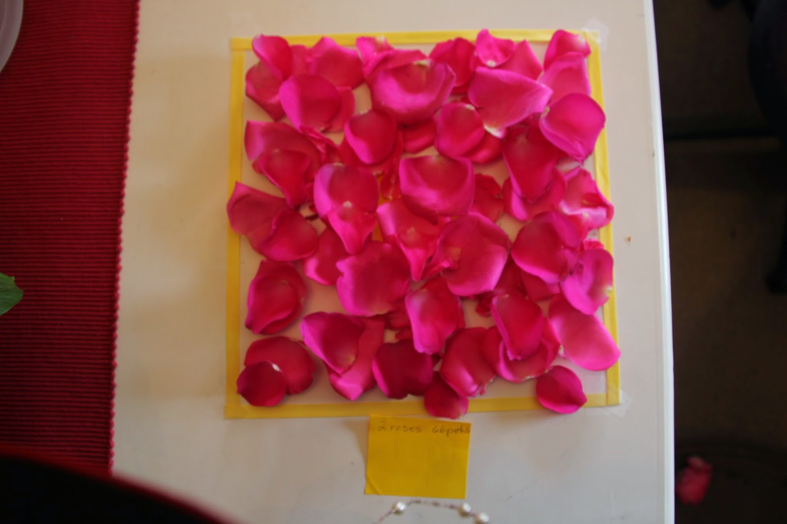 Aberdeen Manor Rose PetalsHow and How Many?