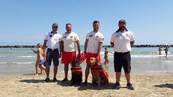 GUARDIA COSTIERA, MARE PIÙ SICURO IN SINERGIA  CON I BAGNINI A QUATTRO ZAMPE