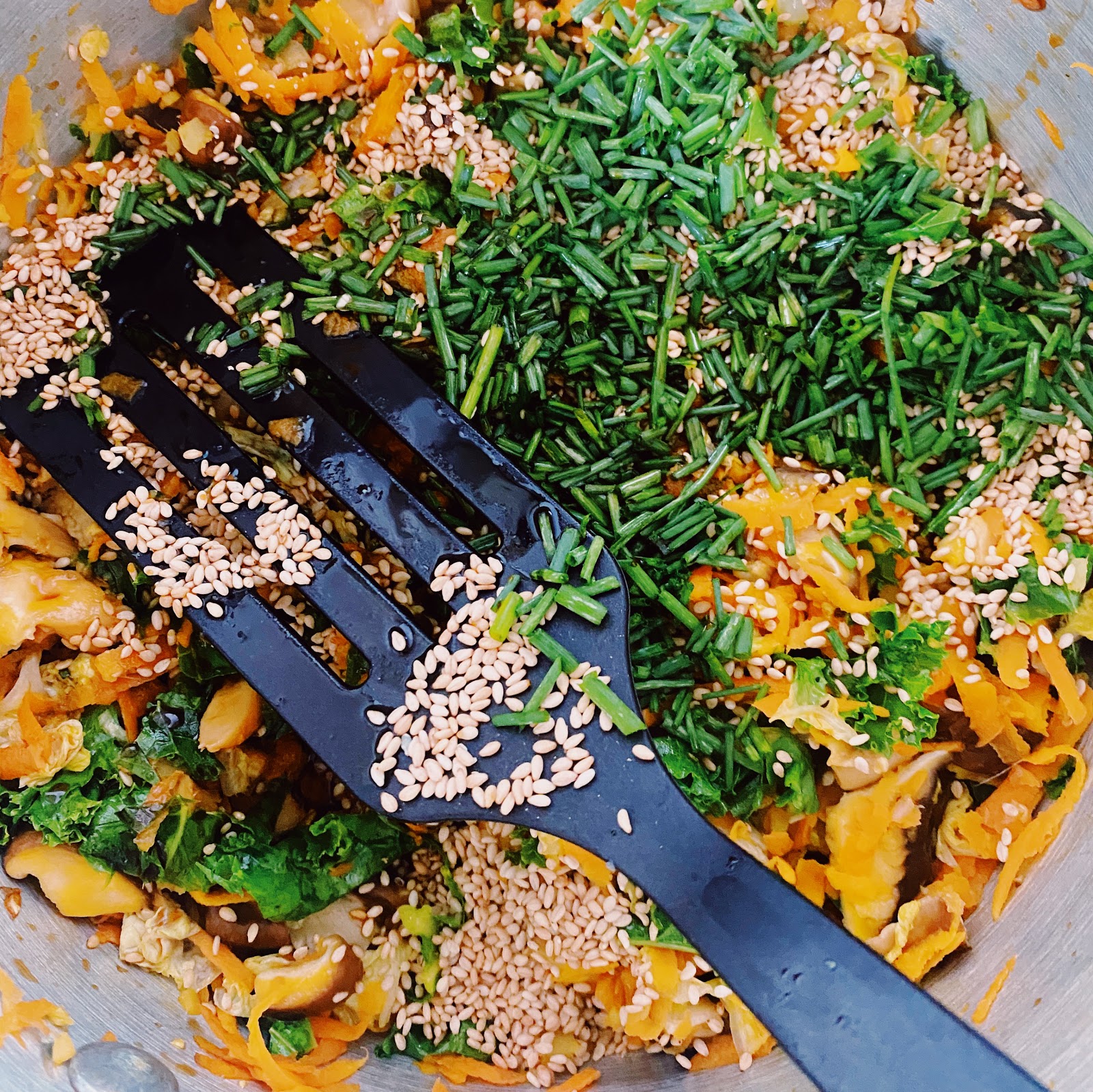 Stella's Wardrobe HOMEMADE VEGETABLE GYOZA DUMPLINGS WITH TOASTED