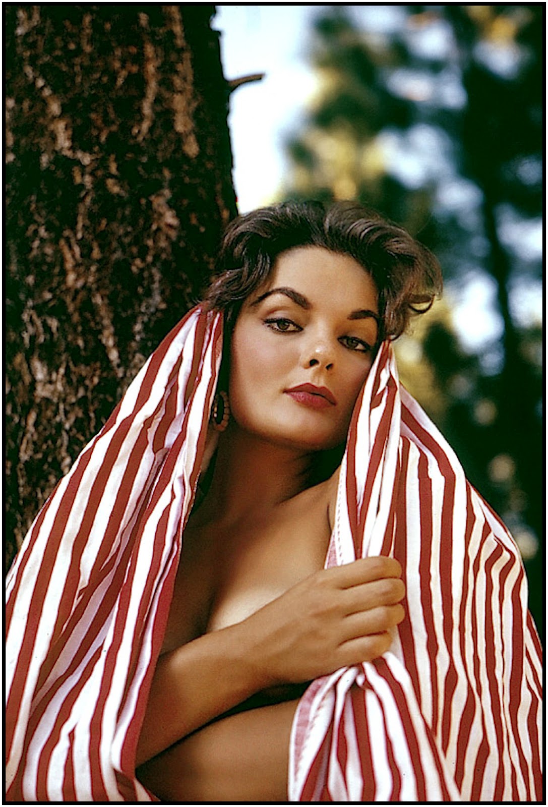 Slice of Cheesecake Marilyn Hanold, pictorial