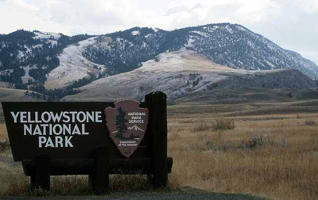 9 amazing things about Yellowstone park, USA