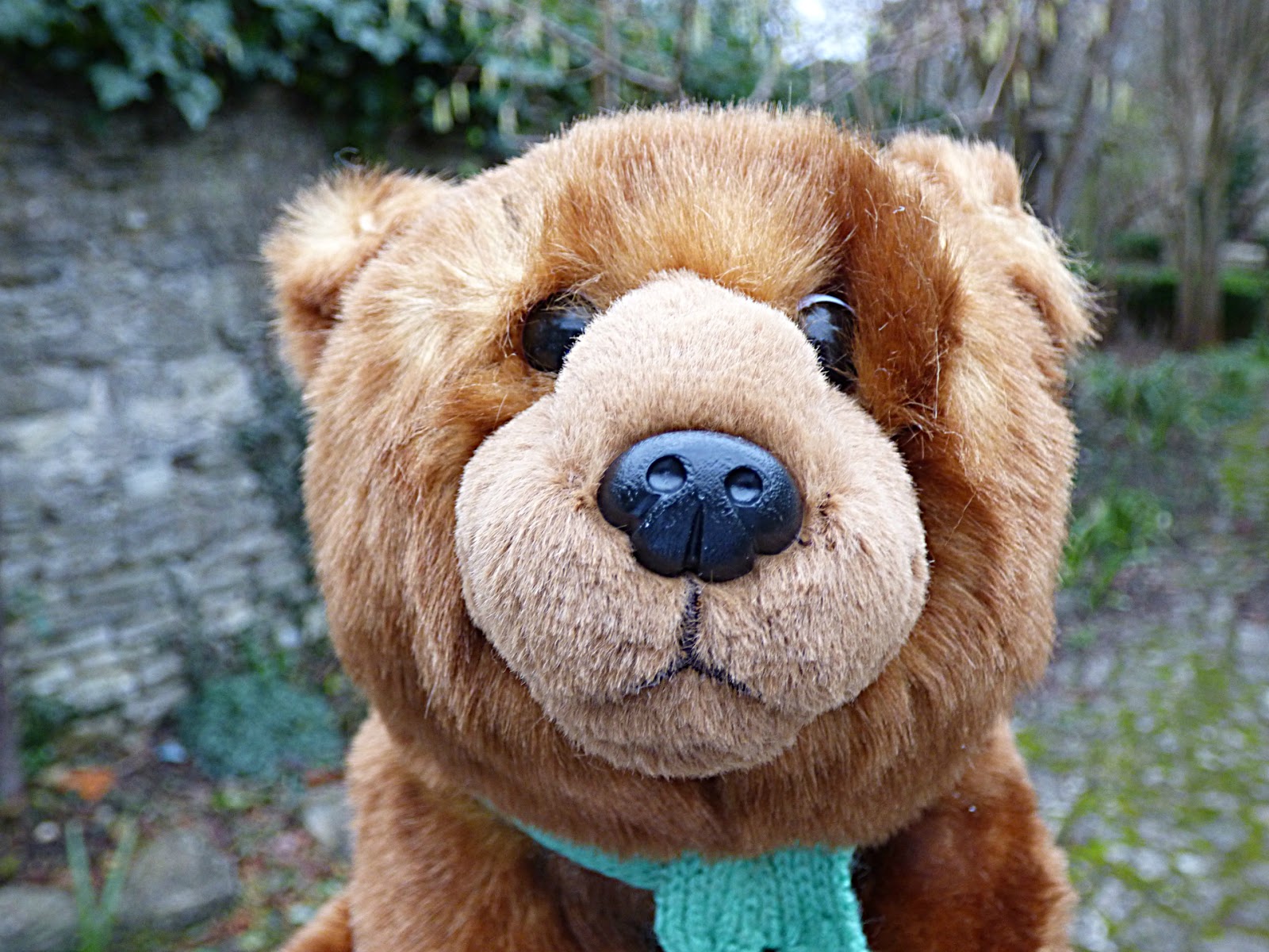 Chez Maximka Our BearHunt Twitter Party