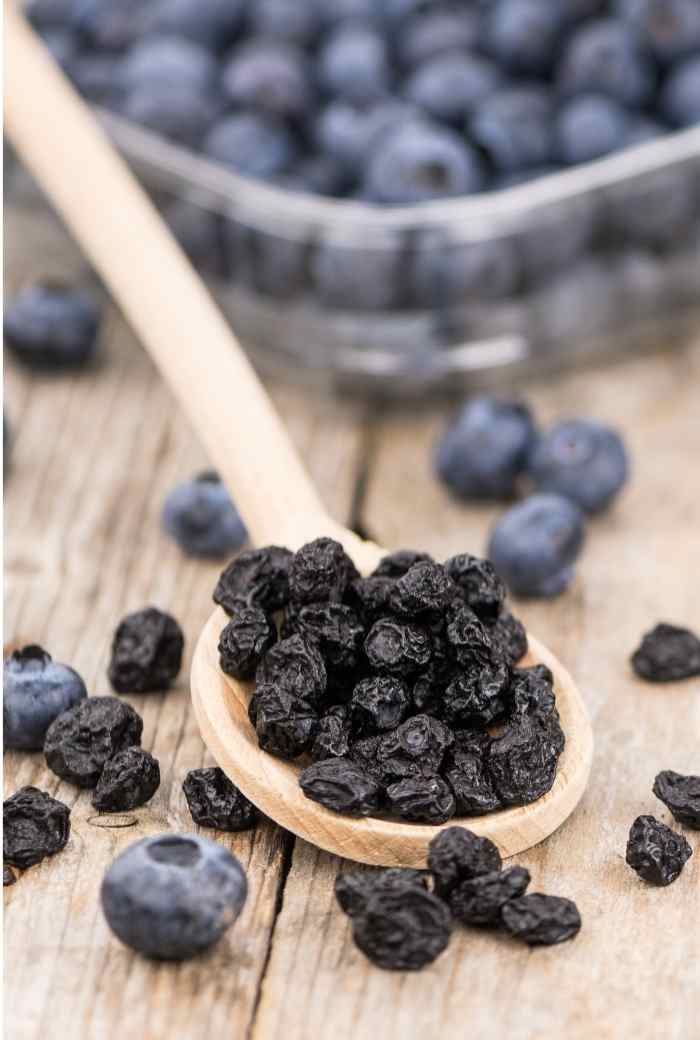 Blueberries in Dehydrator