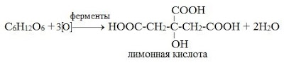 %25D1%2583%25D0%25B3%25D0%25BB%2B4 В результате чего образуются моносахариды