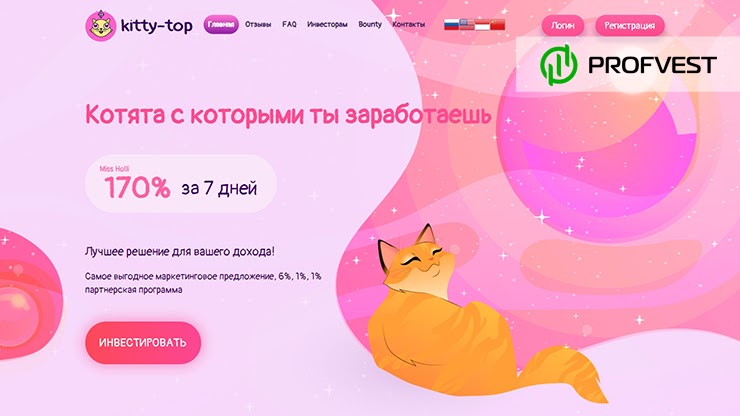 Kitty-Top обзор и отзывы HYIP-проекта