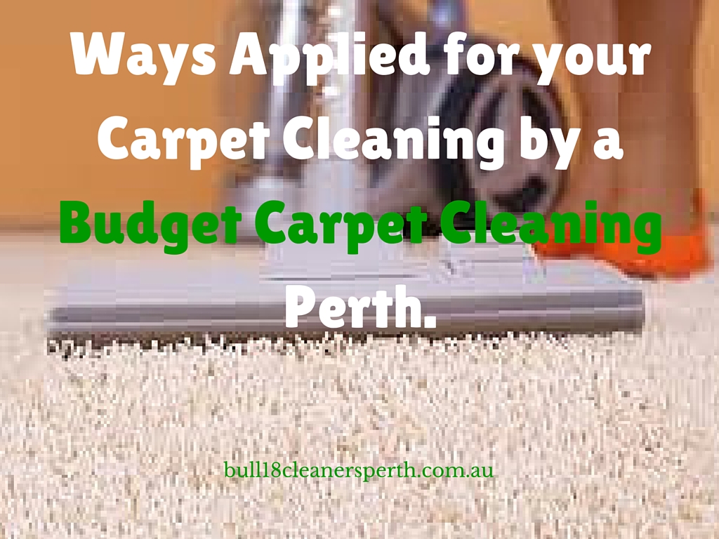 budget carpet cleaner