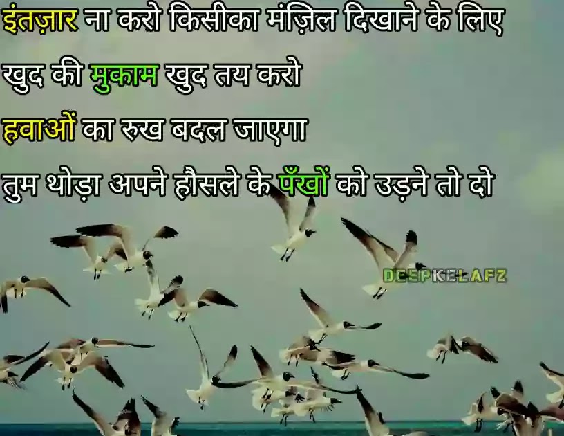 Shayari on Wings in Hindi