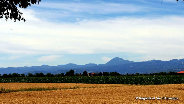 Limagne, été, Auvergne, blé, chaîne des Puys 