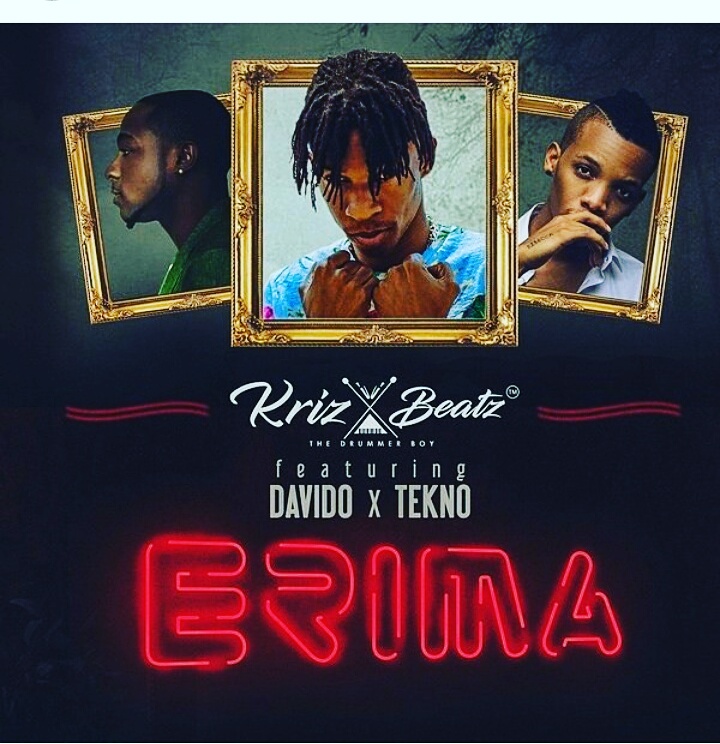 davido erima