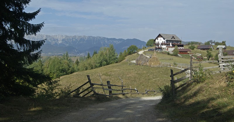 (c)Photography beyond words,poze,fotografii,photo from Romania: Pe