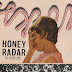 Honey Radar - Sing the Snow Away: The Chunklet Years Music Album Reviews