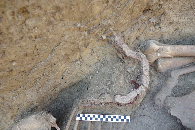 Two Avar warrior graves found in Croatia