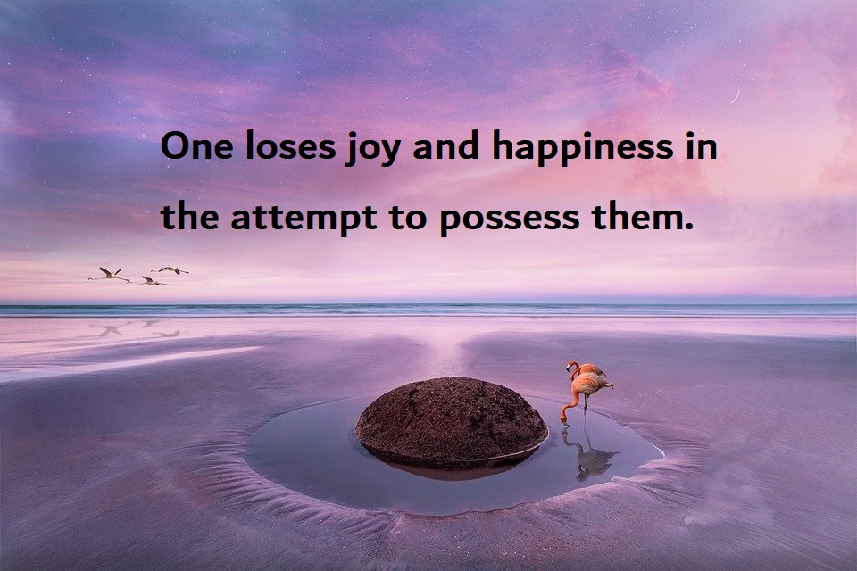 Pure Joy Quotes Short Positive Inspirational Quotes