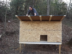 chicken building coop god nailing marty roof