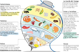 Usos del trompo alimenticio. Pirámide de alimentos venezolana. Trompo alimenticio de alimentos.. imagen del trompo alimenticio