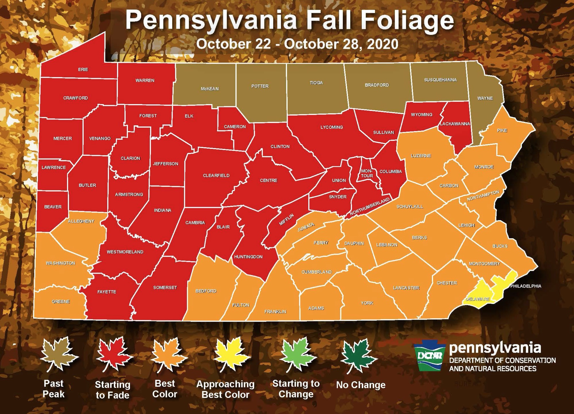 PA Environment Digest Blog DCNR’s 5th Fall Foliage Report Shows Fall
