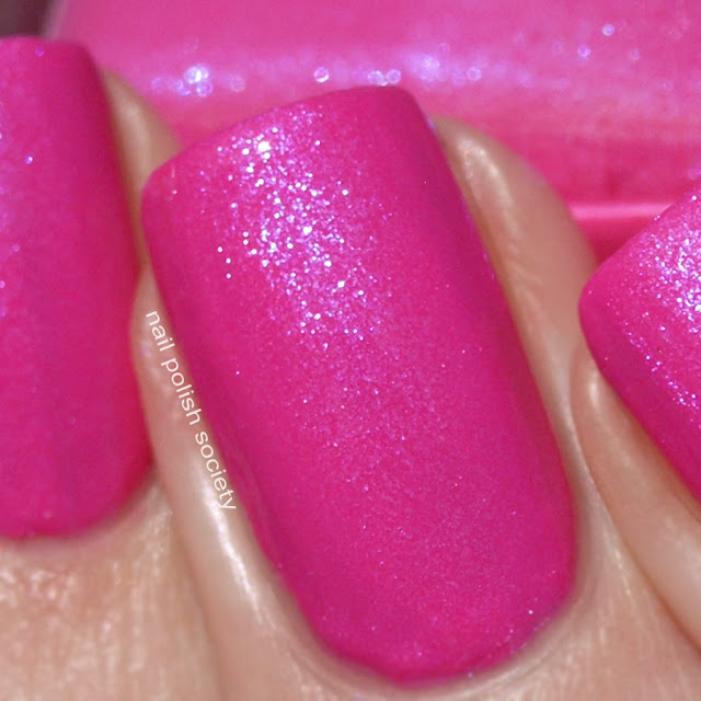 Nail Polish Society Stardust Beauty March 2016, April 2016, and Polar