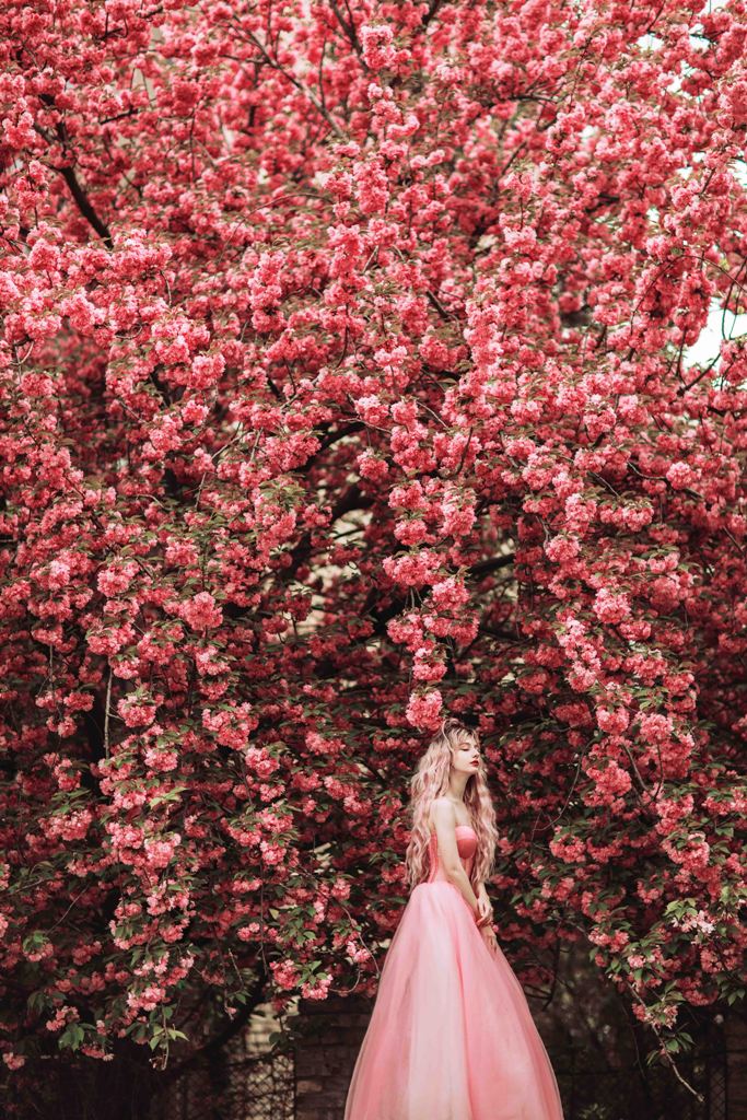 „Cherry Blossom Garden” – Photoshoot