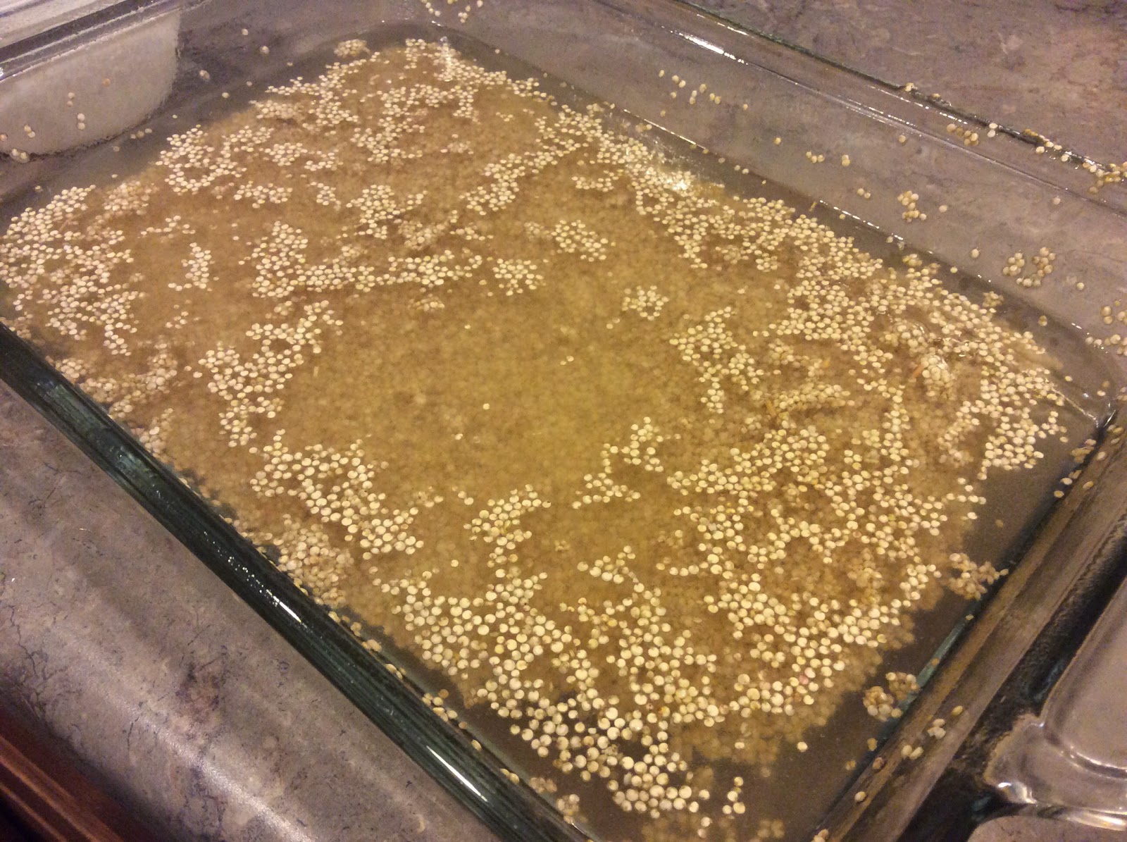 All Things Libby: Chicken Broccoli and Quinoa Bake