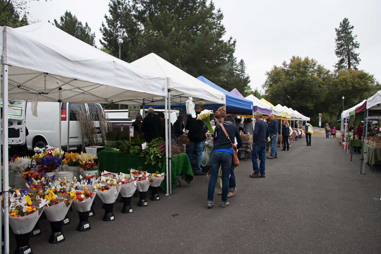 Martha's Musings Auburn Farmer's Market